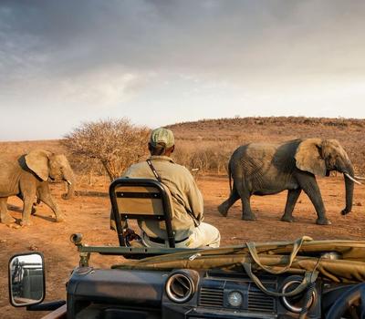 Travel Tips for First-Time Safari Goers